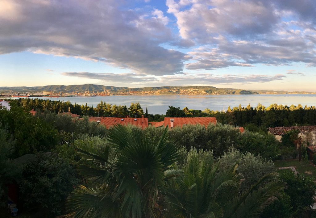 Koper from Ankaran