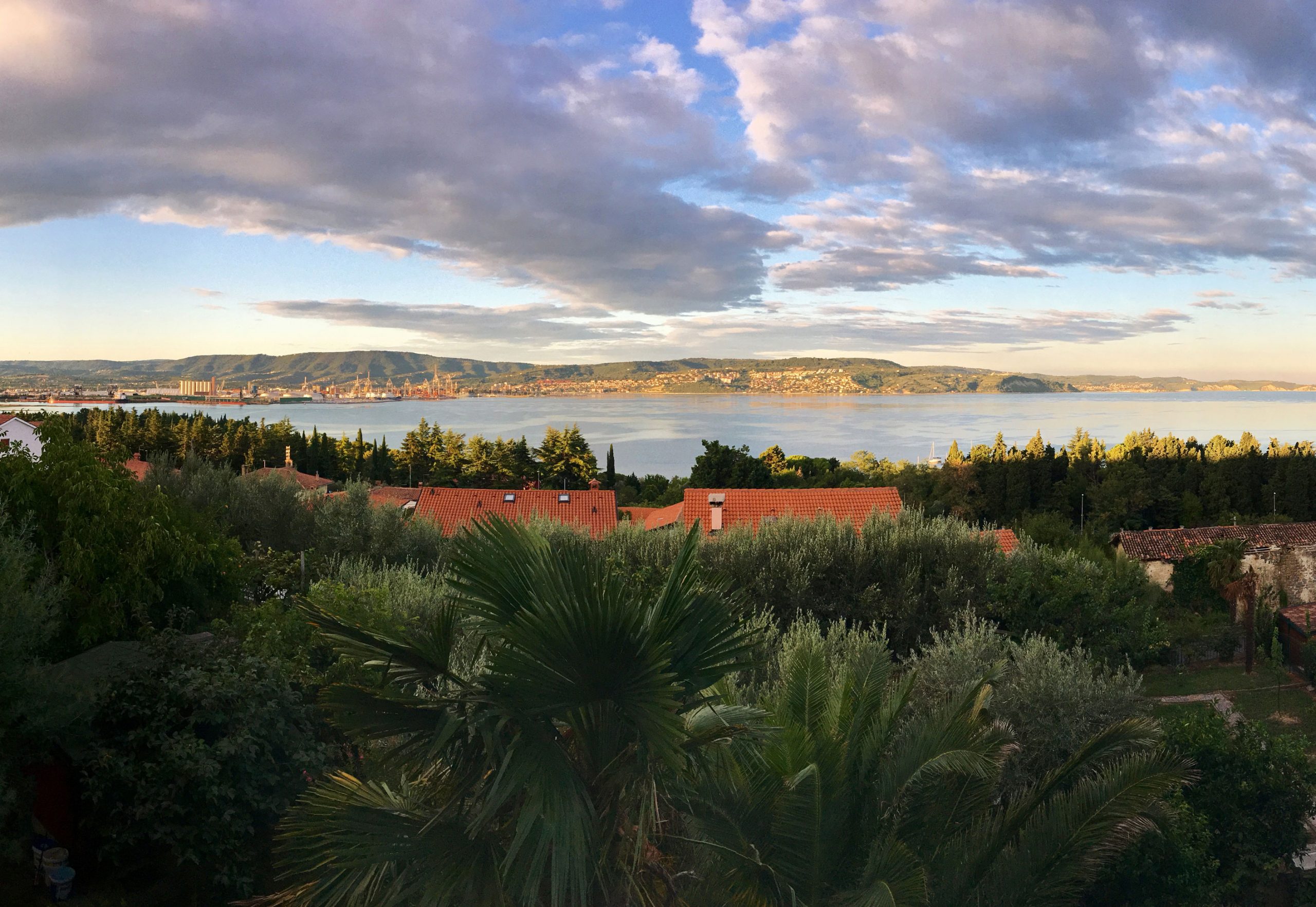Koper from Ankaran